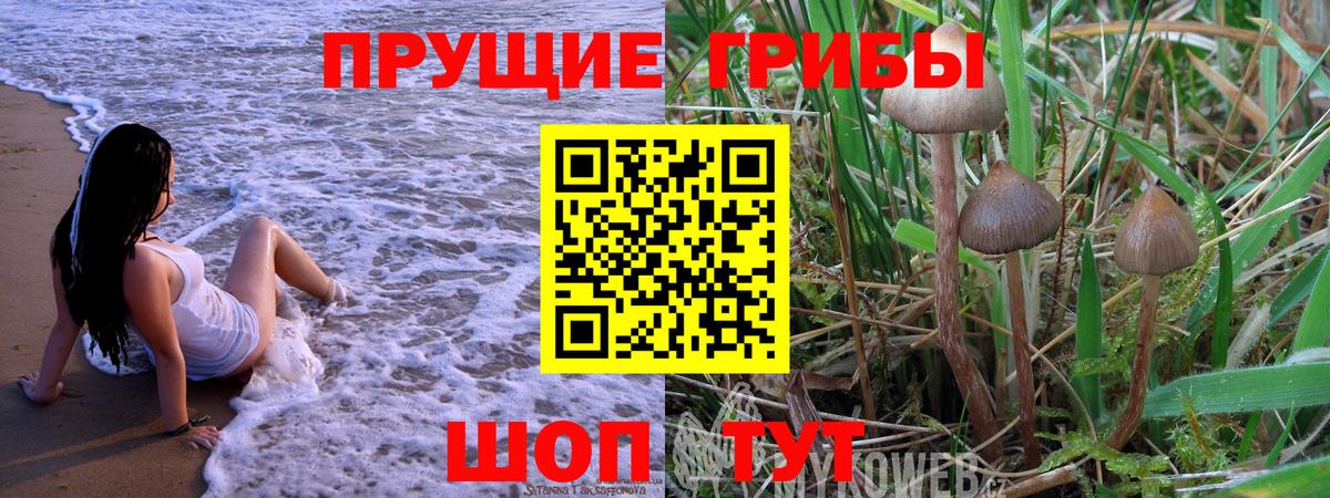 Урай  Псилоцибиновые грибы мухоморы  Вход с VPN  Псилоцибиновые грибы GOLDEN TEACHER 