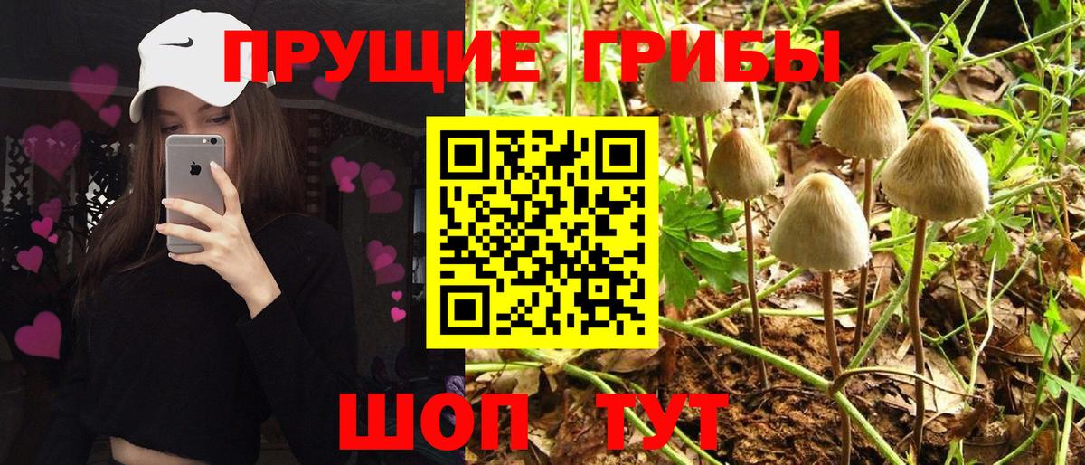 Псилоцибиновые грибы MAGIC MUSHROOMS Урай